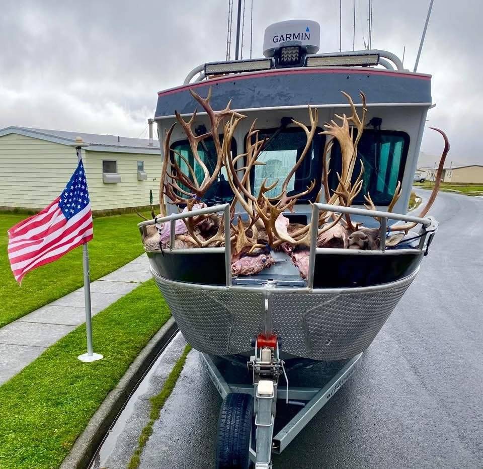 Caribou racks loaded on the boat with the American flag flying