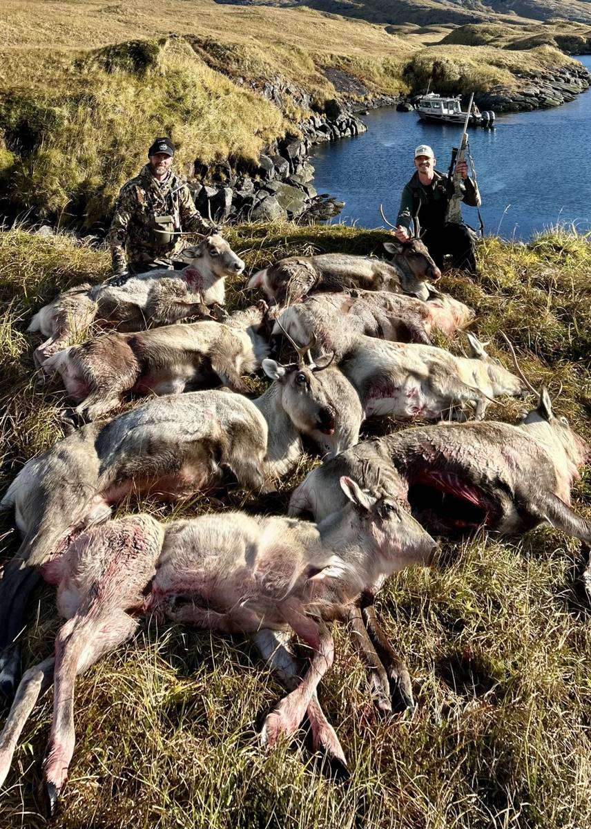 Successful Caribou harvest at a lakeside drop-off