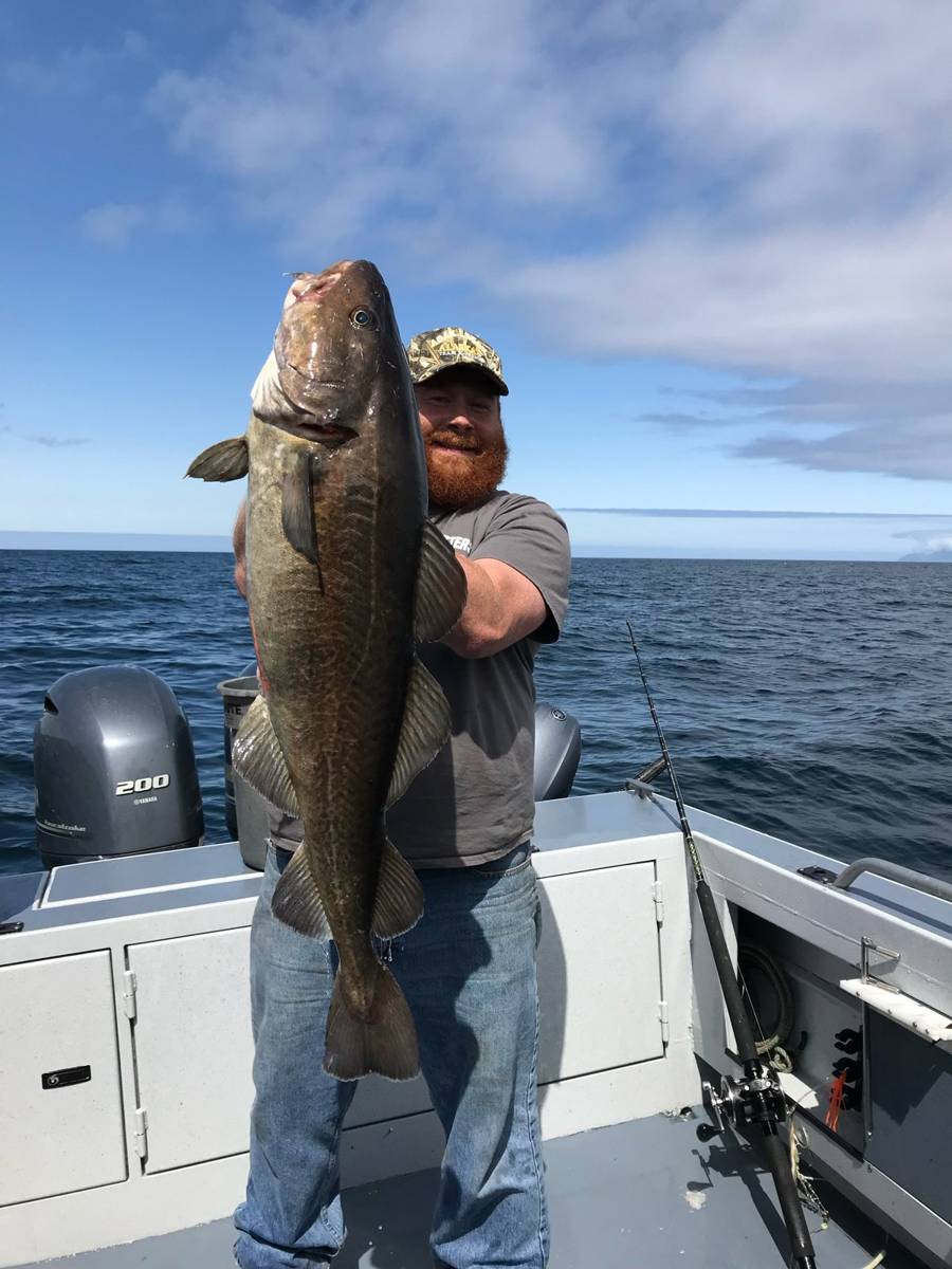 Guest on the boat with a big Cod on a bright sunny day