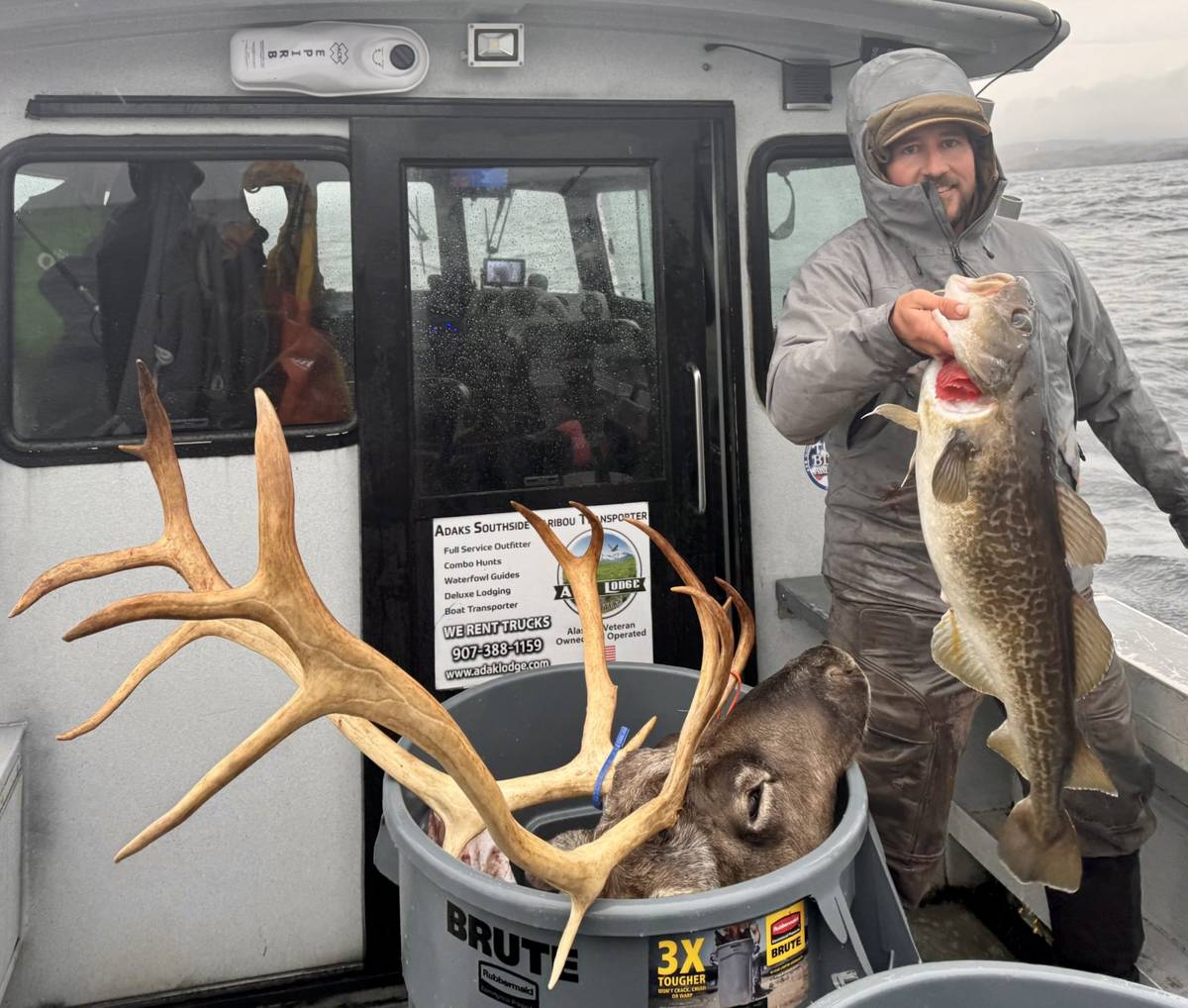 Combo trip guest with a big Cod and Caribou antlers in the tub behind him