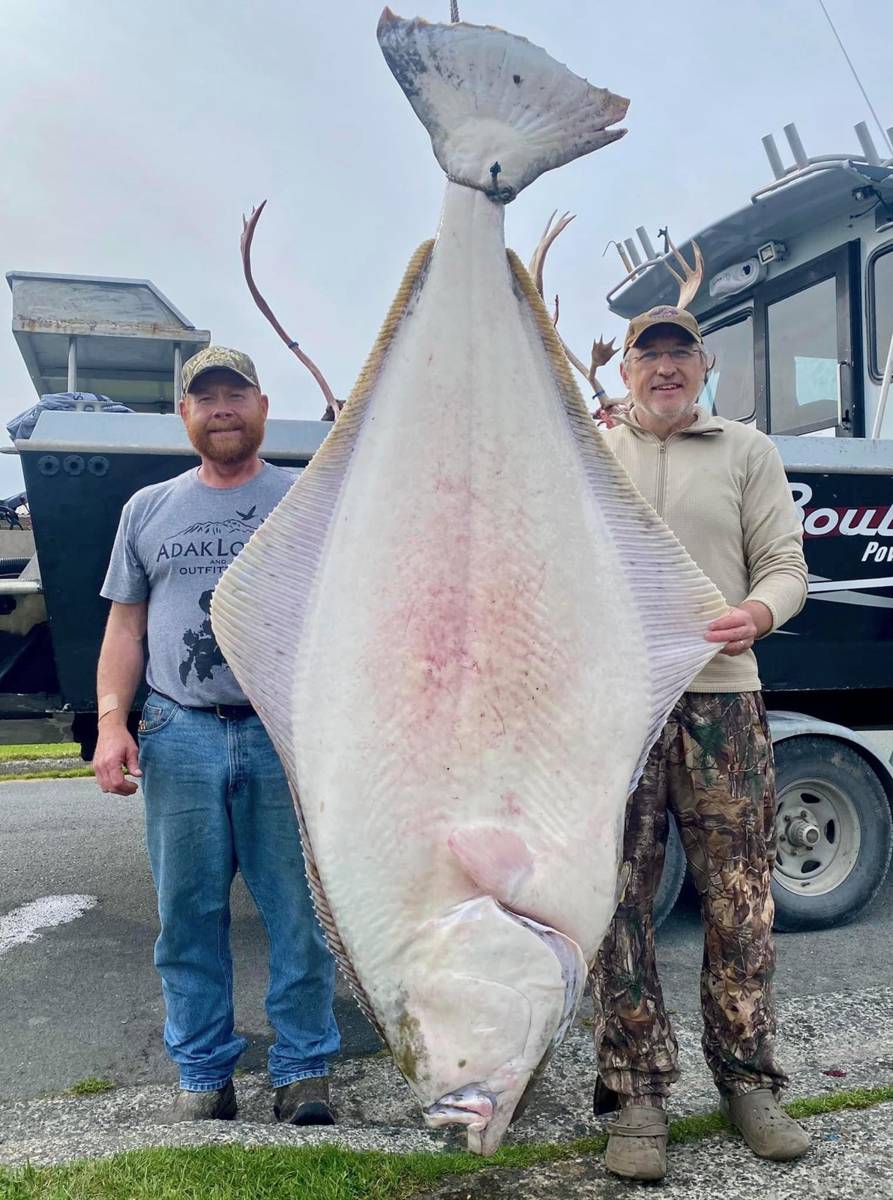 Two anglers with a massive trophy Halibut nearly as tall as they are