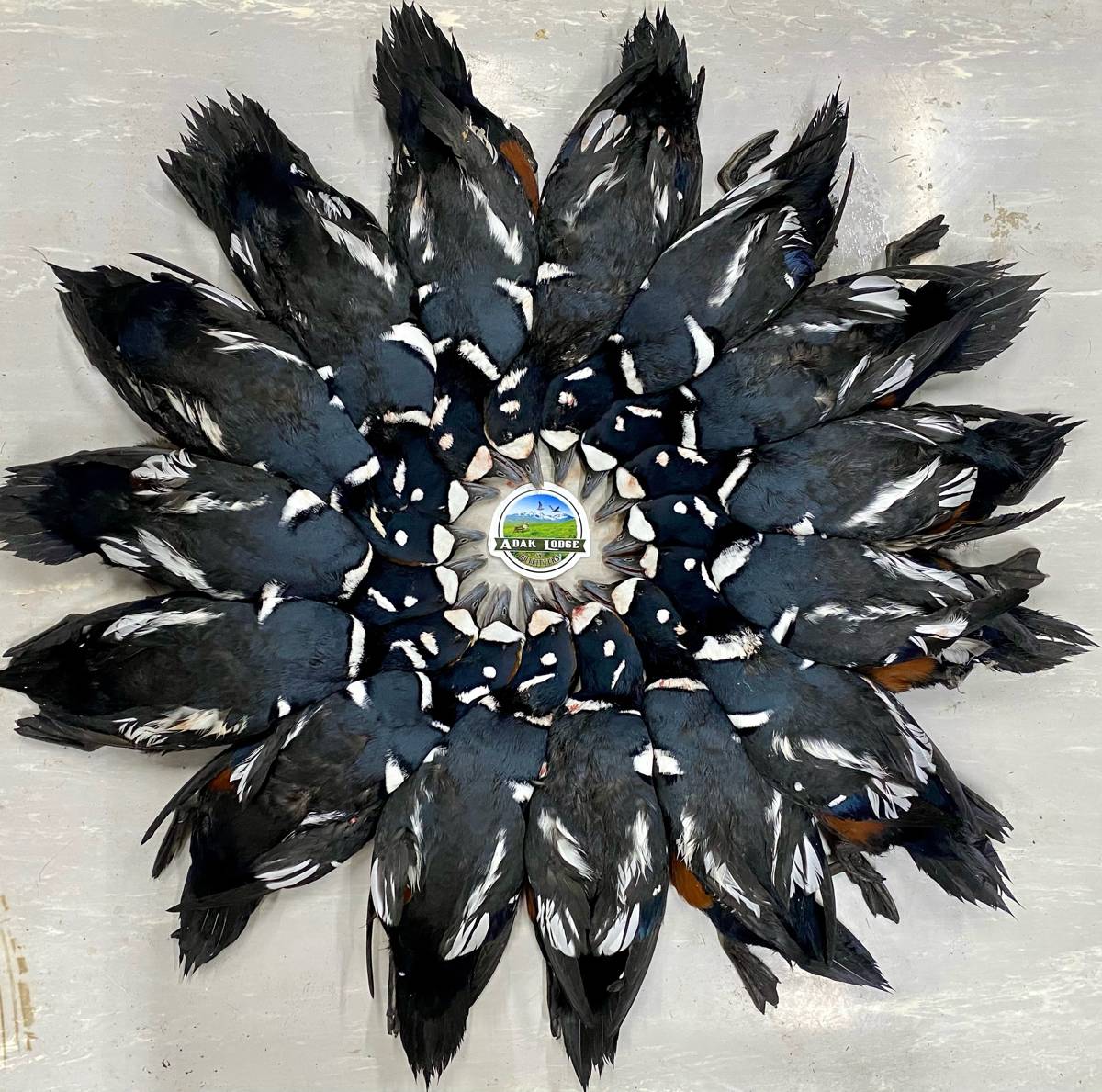 Harlequin duck feather wreath with the Adak Lodge logo
