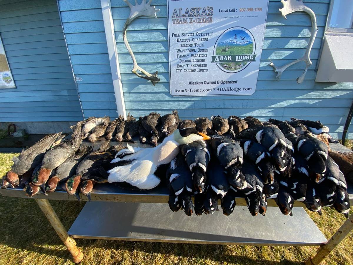 Big mixed Waterfowl haul at the Adak Lodge sign
